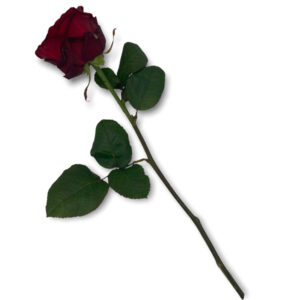 Kondolenzblumen
