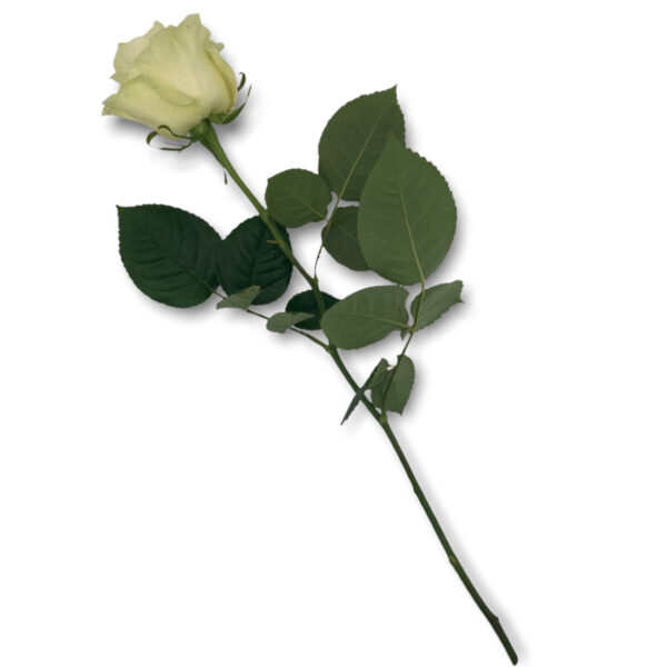 Kondolenzblumen