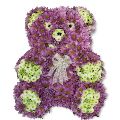 Teddy - 