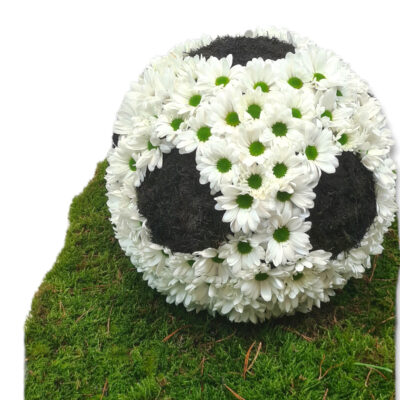 Fußball - 