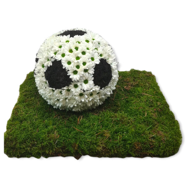 Fußball 001