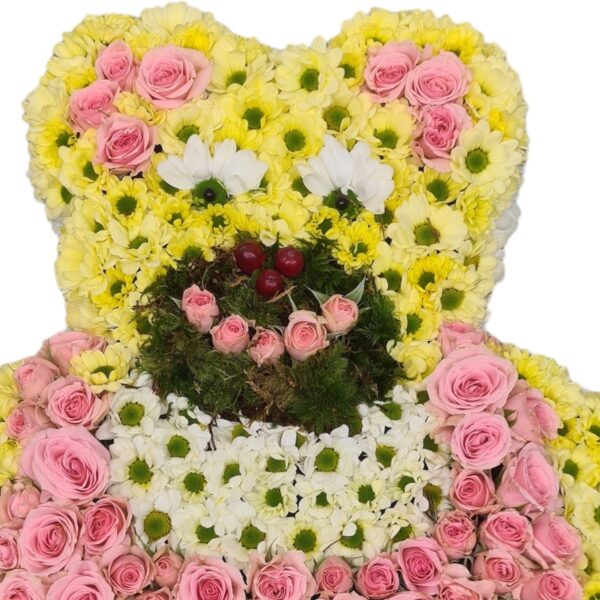 Teddy  001 – Bild 2